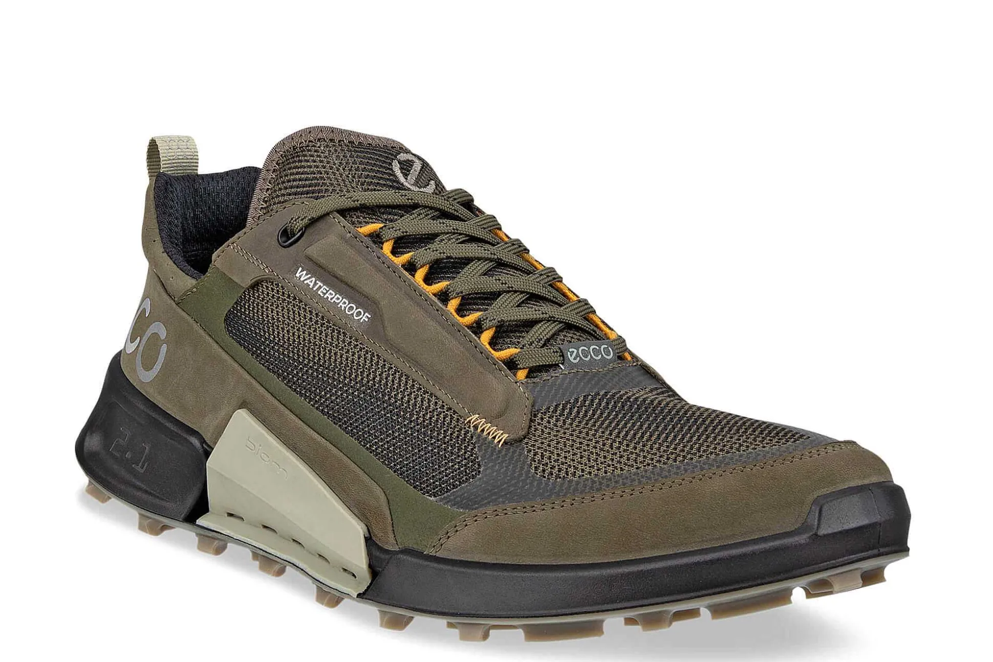 Zapatillas Biom 2.1 X Mtn M Low Wp